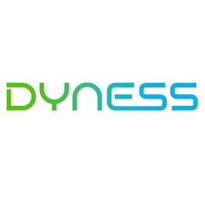 Dyness