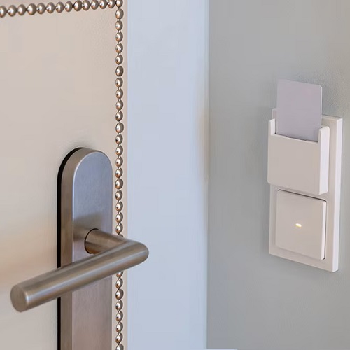 Berker- Intrerupator Acces Card Hotel (mecanism) - imagine 3