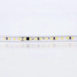Banda LED SMD  7,5W, 220V, 6500K (alb rece), 180 LED/m, 5mm, Dimabila, IP44, PRO (rola 10ml)